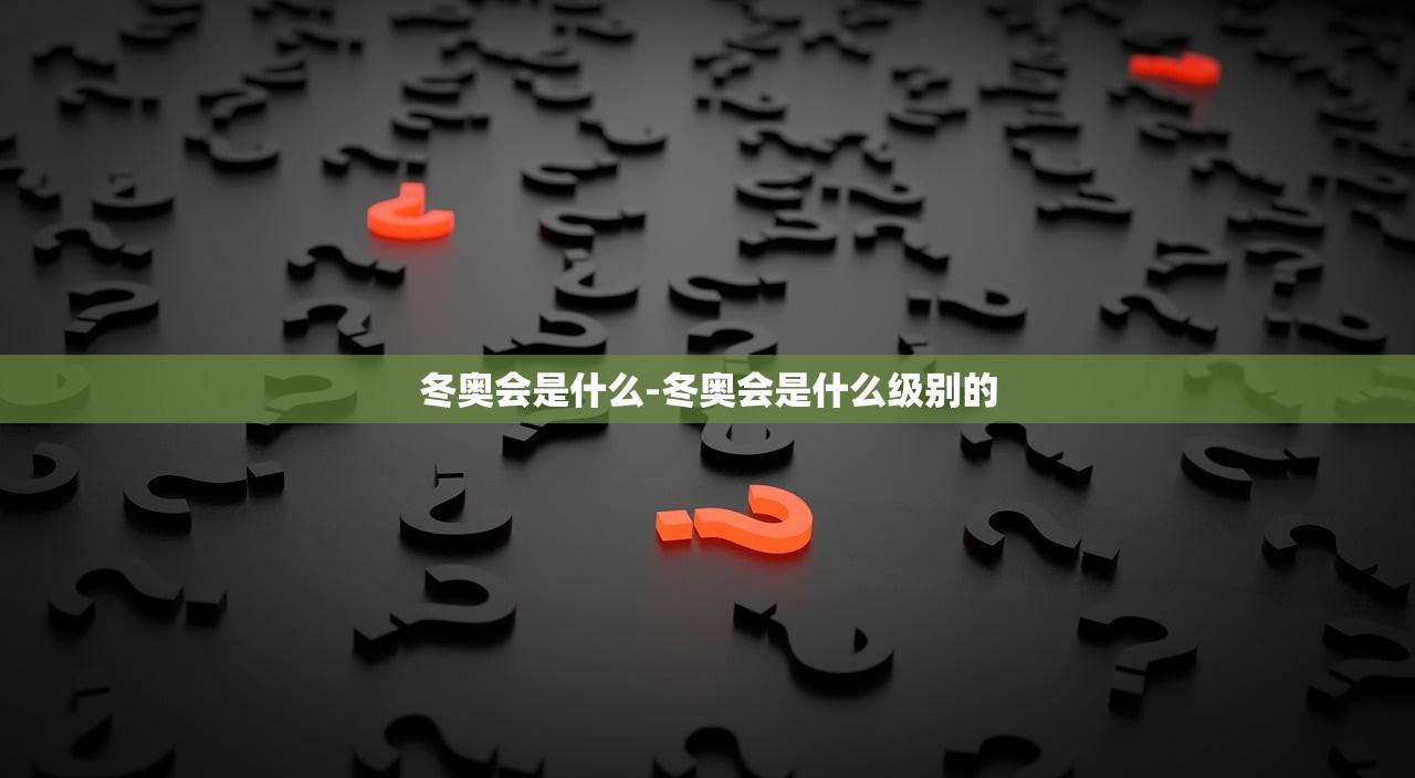 冬奥会是什么-冬奥会是什么级别的