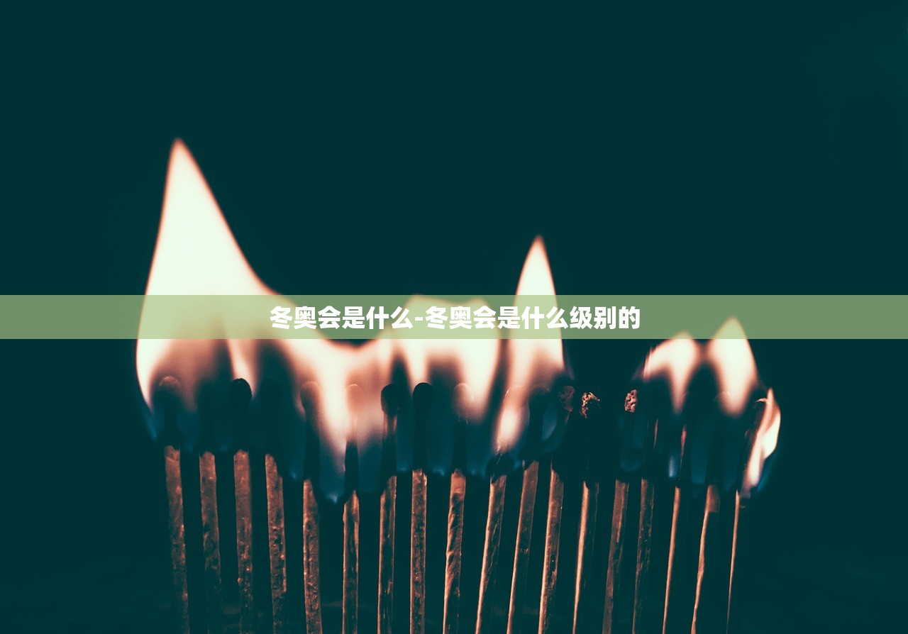 冬奥会是什么-冬奥会是什么级别的
