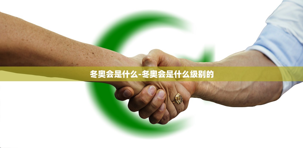 冬奥会是什么-冬奥会是什么级别的