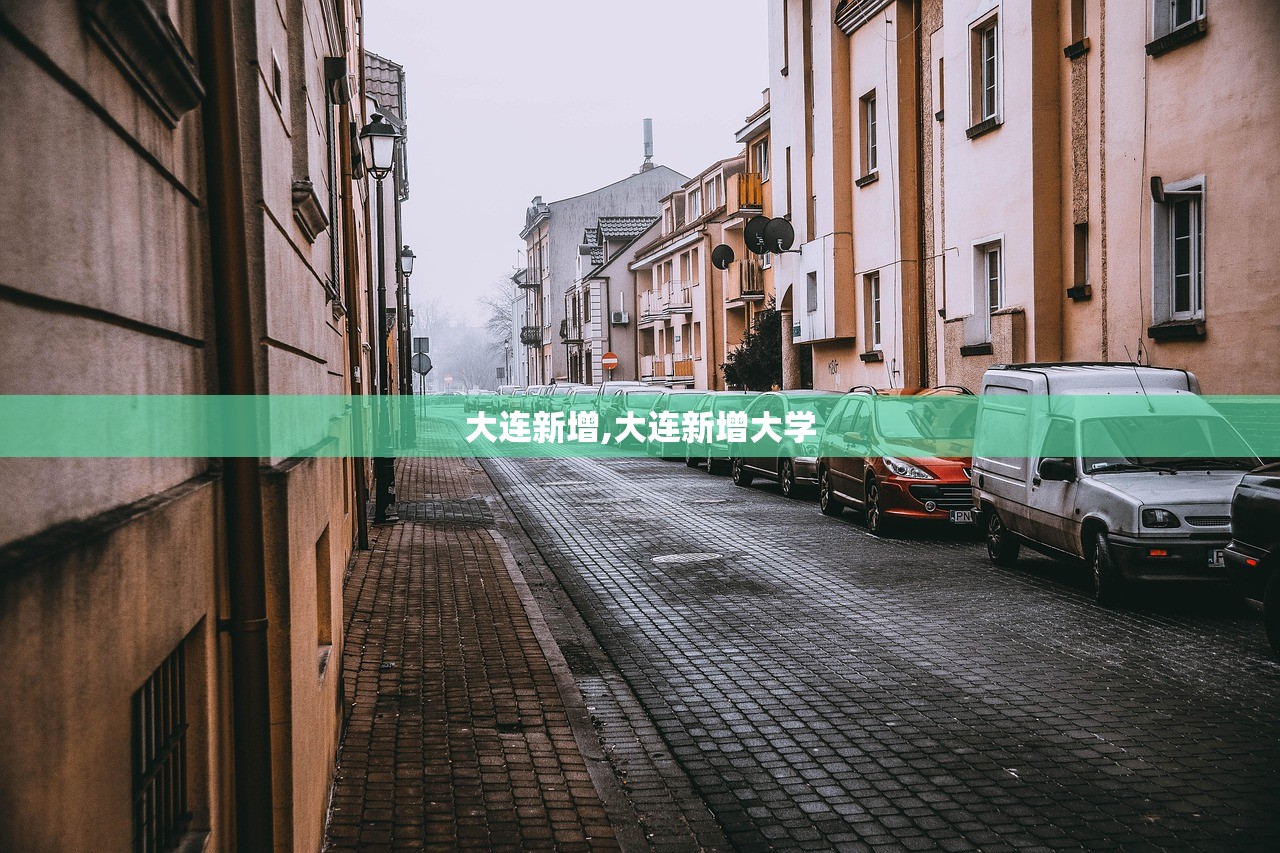 大连新增,大连新增大学