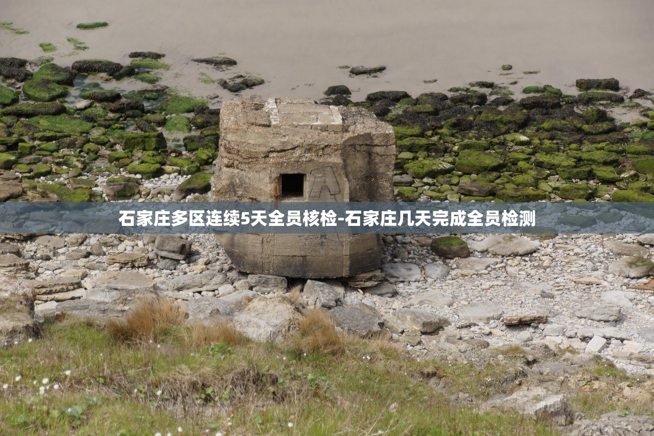 石家庄多区连续5天全员核检-石家庄几天完成全员检测
