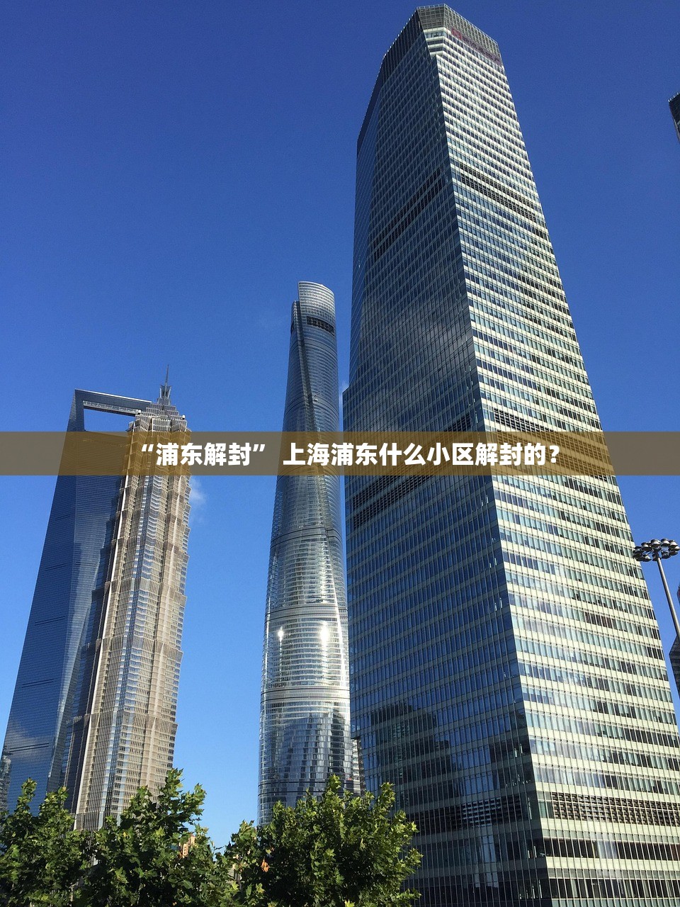 “浦东解封” 上海浦东什么小区解封的？