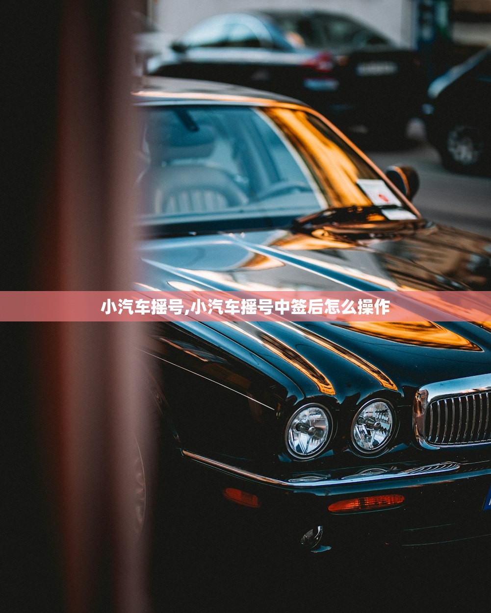 小汽车摇号,小汽车摇号中签后怎么操作
