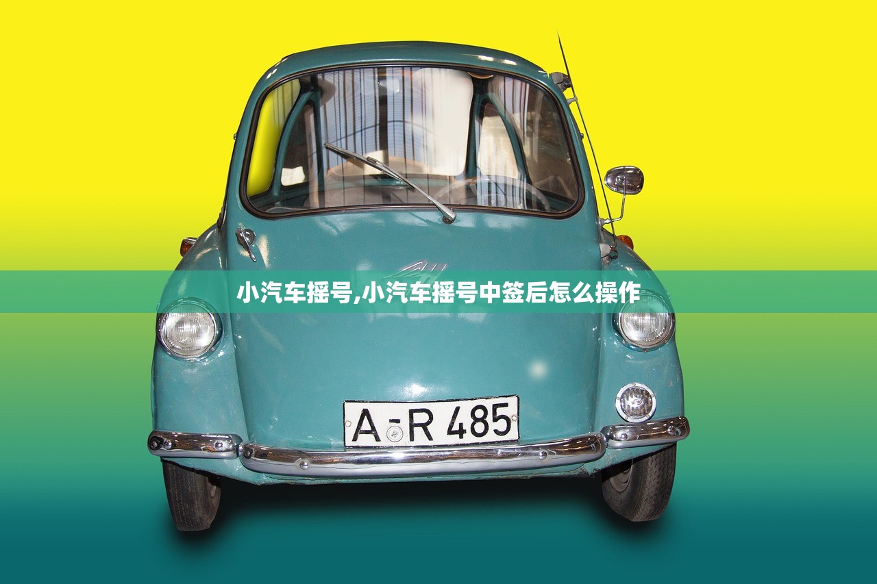 小汽车摇号,小汽车摇号中签后怎么操作