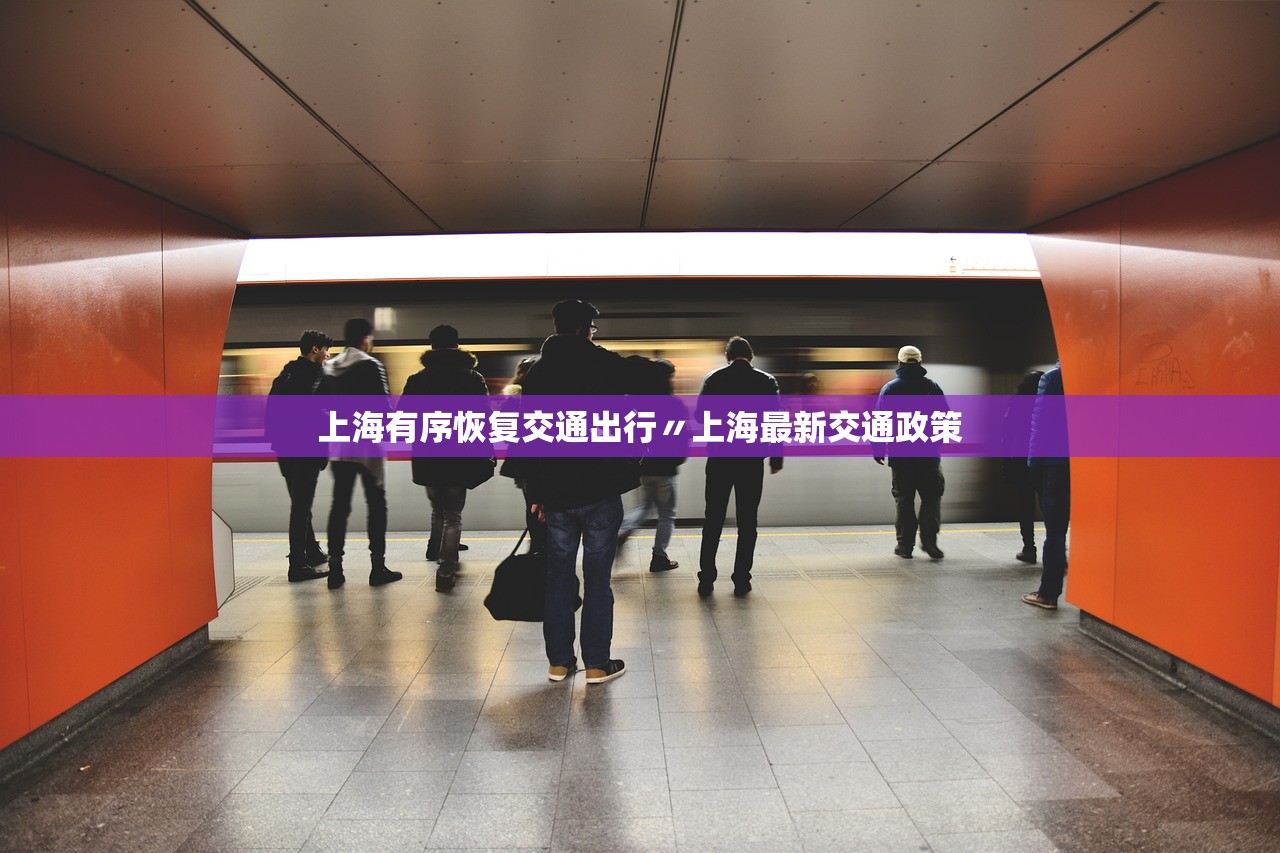 上海有序恢复交通出行〃上海最新交通政策