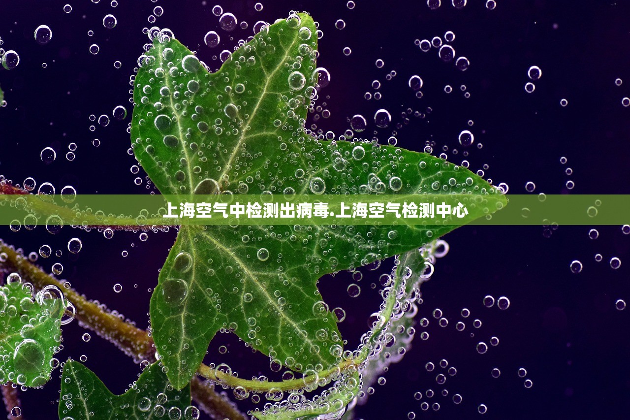 上海空气中检测出病毒.上海空气检测中心 上海空气中检测出病毒.上海空气检测中心