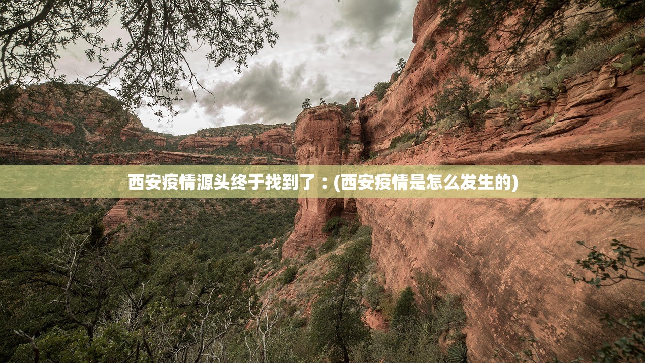 西安疫情源头终于找到了︰(西安疫情是怎么发生的)