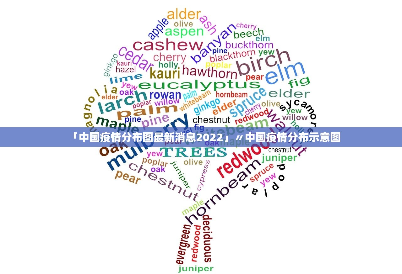 「中国疫情分布图最新消息2022」〃中国疫情分布示意图 「中国疫情分布图最新消息2022」〃中国疫情分布示意图