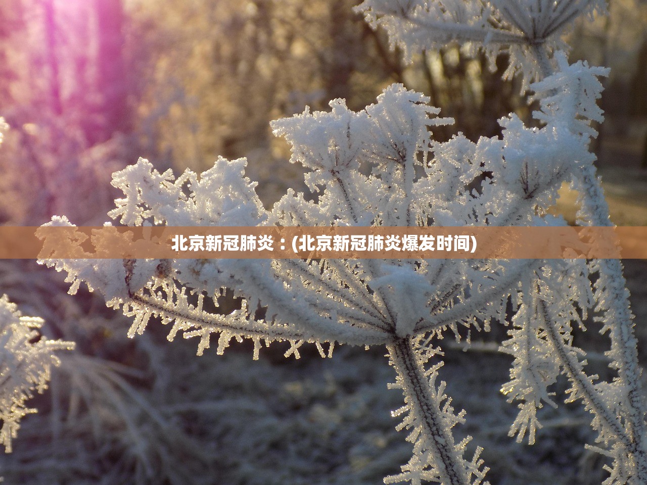 北京新冠肺炎︰(北京新冠肺炎爆发时间)