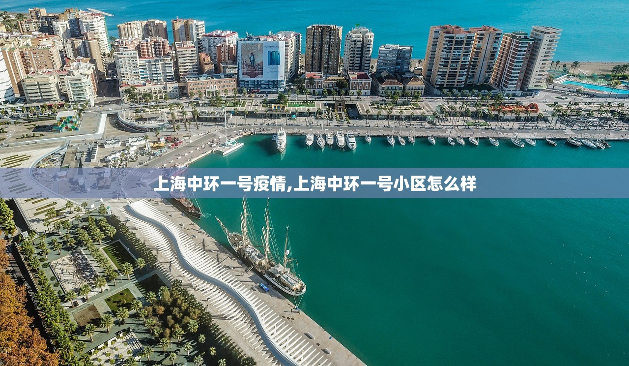 上海中环一号疫情,上海中环一号小区怎么样