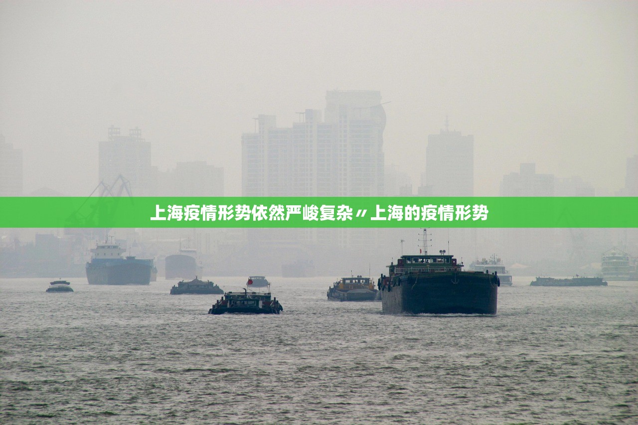上海疫情形势依然严峻复杂〃上海的疫情形势 上海疫情形势依然严峻复杂〃上海的疫情形势