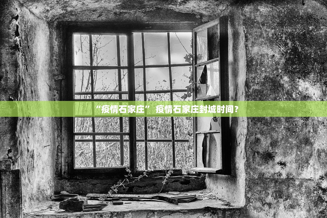 “疫情石家庄” 疫情石家庄封城时间？