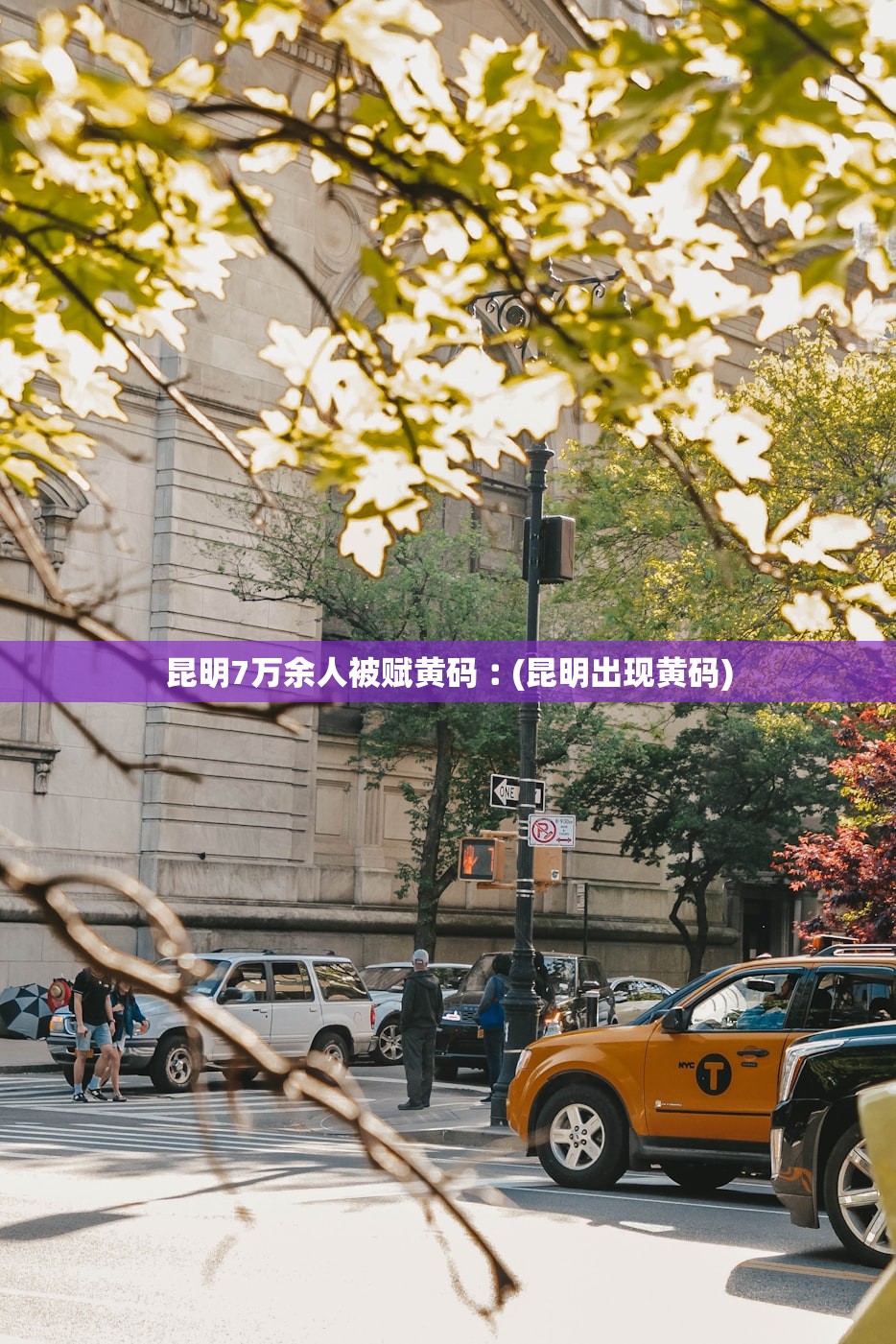 昆明7万余人被赋黄码︰(昆明出现黄码)