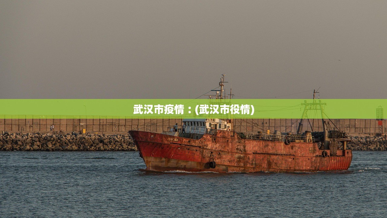 武汉市疫情︰(武汉市役情)